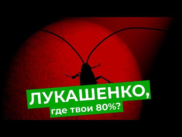 Что белорусы думают о протестах? Реальный выбор жителей Минска