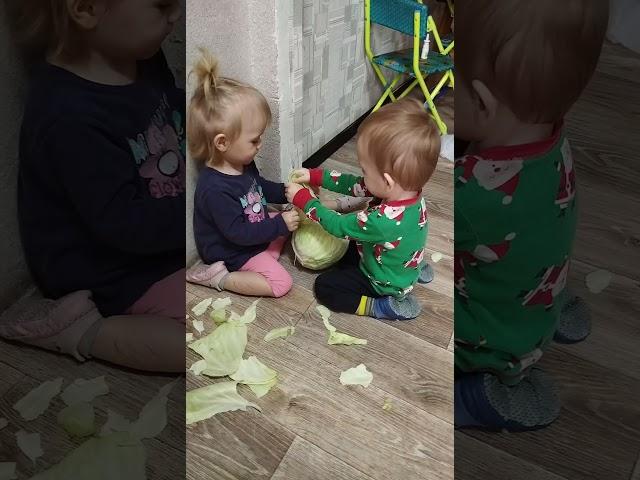 как мы готовим голубцы