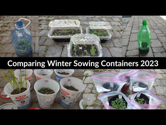 2023 Winter Sowing Container Comparison | Winter Sowing Reveal May 2023 | Native Plants Toronto, ON