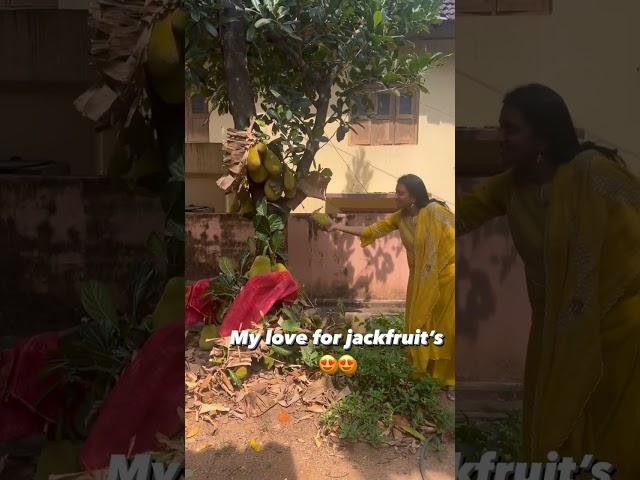 Suma Kanakala Love Towards her Favorite Jack Fruit Latest Video