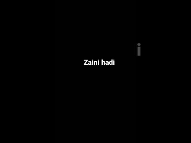 zaini hadi