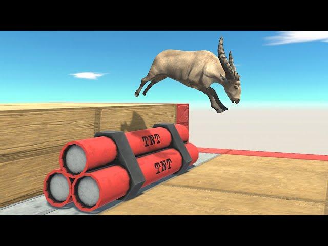 Jumping Above Deadly TNT - Animal Revolt Battle Simulator