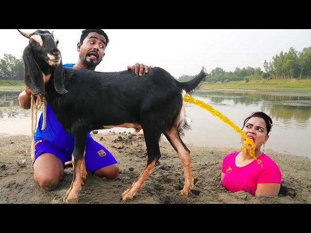 Must Watch New Special Comedy Video 2023 Totally Amazing Comedy Episode 220 #busyfunltd