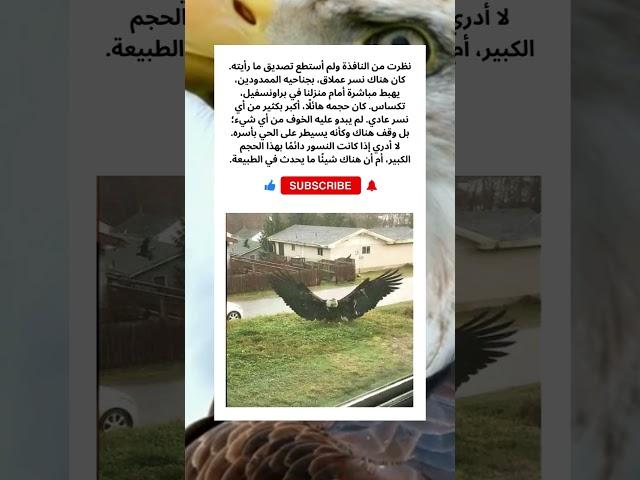 #قصص #قصص_واقعية #اكسبلور #حيوانات #عجائب #غرائب #كلاب #كلب #خيل #خيول #طبيعة #قطط #حصان #قطة #فرس