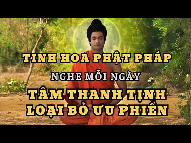 Lời Vàng Phật Dạy: Tinh Hoa Phật Pháp và Bài Học Cuộc Sống