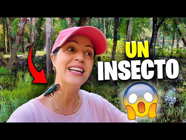 ME PICA UN INSECTO EN EL CUELLO   Sandra Cires Vlog