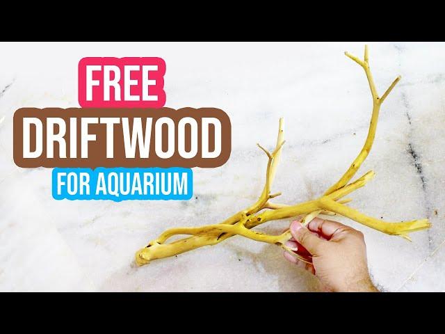 🪵 DIY Driftwood Making Tutorial: How to Make Driftwood for Aquarium at Home 