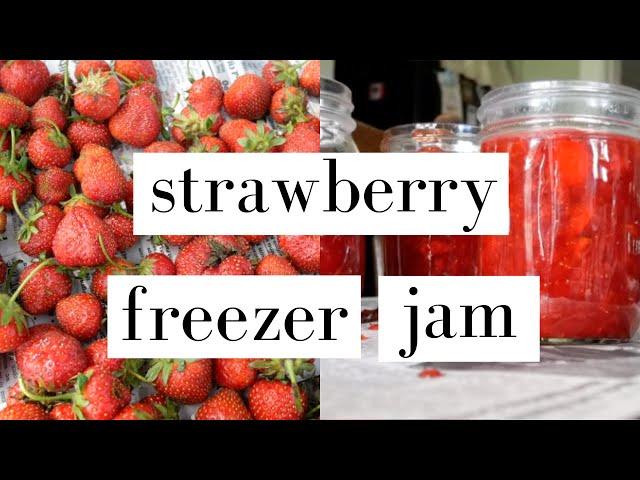 How To Make Strawberry Freezer Jam | Easy, No Cook Recipe!