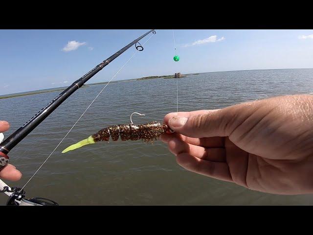 Fishing with POPPING CORK and SHRIMP for Redfish ft How To + Redfish Sushi