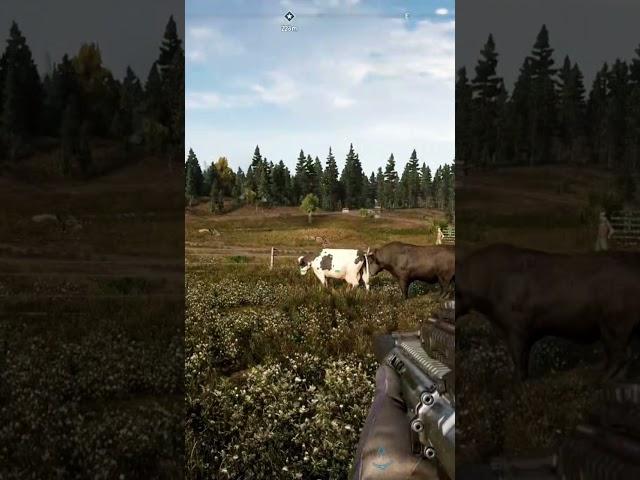 what is going on with Far Cry 5 