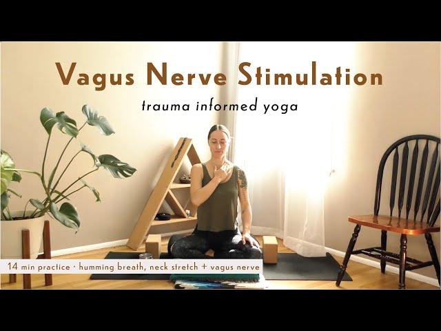 Vagus Nerve Stimulation | Trauma Sensitive Yoga