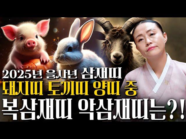 미리보는 2025년 삼재띠 특집 2025년 을사년에 최고,최악 삼재띠는 어떤 띠?! 토끼띠 양띠 돼지띠 운세 삼재띠 분들은 꼭 미리 알고 예방하세요! 2025년 운세
