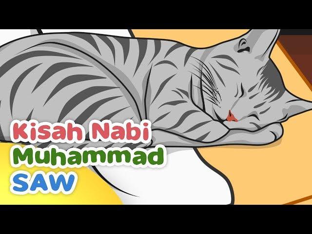 Kisah Nabi Muhammad SAW Keistimewaan Muezza Kucing Rasulullah - Kartun Anak Muslim Indonesia