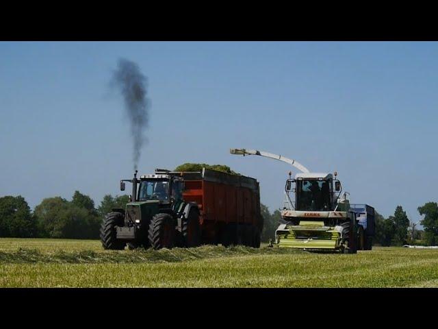 Zbiór Traw 2024 w GR KarolewBor-MaszFendt, Claas, John Deere