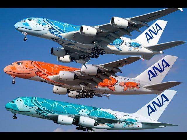 The Best A380 Livery - ANA A380 Fleet - All 3 flying Turtles!