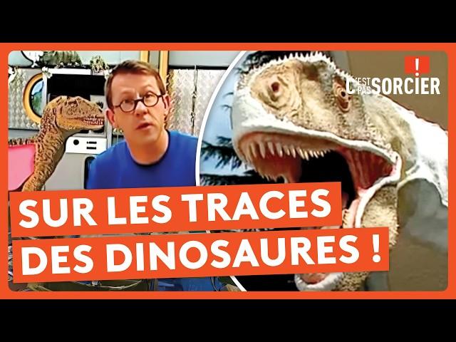 Comment ont disparu les dinosaures ? - C'est pas sorcier