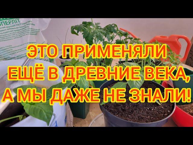 БЕСПЛАТНАЯ МИКОРИЗА.+ ПОЛЕЗНЫЙ И ПИТАТЕЛЬНЫЙ ДРЕНАЖ ДЛЯ РАССАДЫ. ИДЕАЛЬНЫЙ ГРУНТ ДЛЯ РАННЕГО УРОЖАЯ.