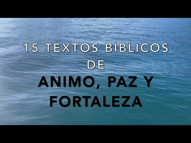 15 TEXTOS BIBLICOS DE ANIMO, PAZ Y FORTALEZA