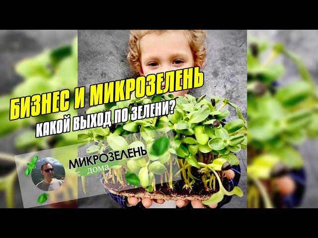 БИЗНЕС И МИКРОЗЕЛЕНЬ | МИКРОЗЕЛЕНЬ ДОМА | ЗАРАБАТЫВАЕМ ДЕНЬГИ | СКОЛЬКО МОЖНО ЗАРАБОТАТЬ НА ОКНЕ