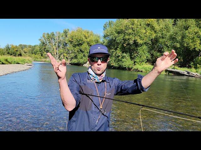 Get More Strikes on Dry Flies // Tips for Skating and Twitching