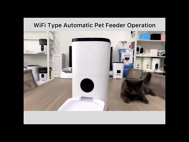 Smart Automatic Pet Feeder - Banggood New Tech