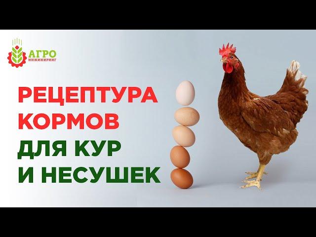 Рецептура кормов для молодых кур и кур несушек.