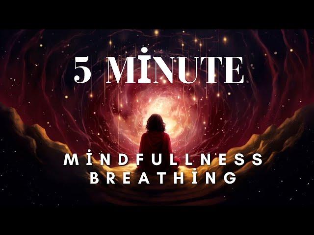 5 minute Breathing Exercises | Meditation, Reduce Anxiety (2024)