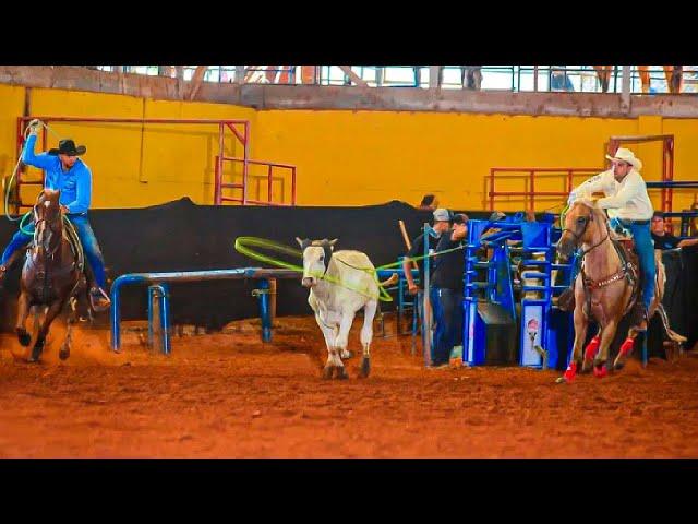 TEAM ROPING MVOWEEK 2023 • CAMPEÃO FUTURITY  • RODRIGO TEODORO • LAÇO EM DUPLA  •