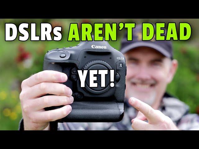 DSLRs Are NOT Dead, Amazing VALUE for WILDLIFE Photography!