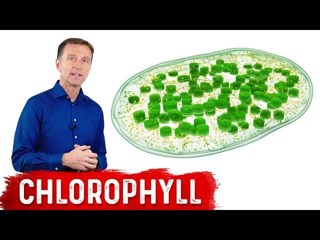 9 Proven Benefits of Chlorophyll