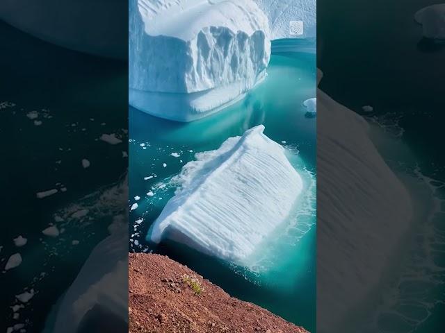 Wow! Iceberg flipping in Greenlands icy waters | #shorts #iceberg #greenland