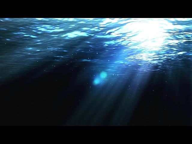 Copyright Free Underwater Background Loop  - Motion Graphics, Animated Background