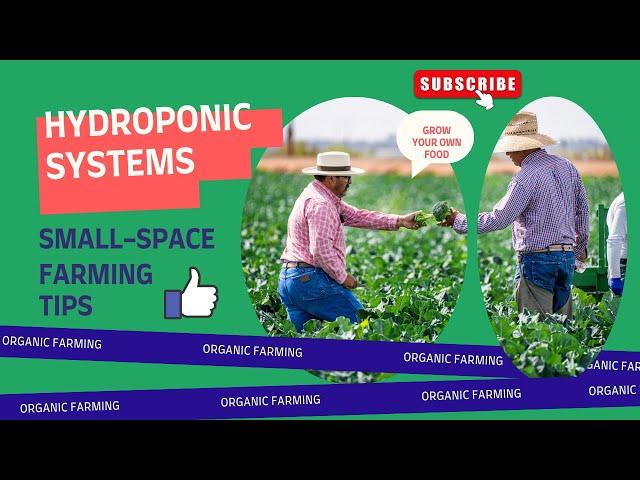 Hydroponic Systems! Small Space Farming Made Easy! #gardening #hydroponics #garden