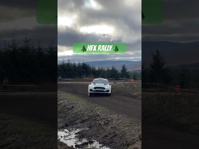 Carlisle Stages Rally 2023! #wrc #rallyracing #car #rally #racing #rallying #rallycars #rallyfans