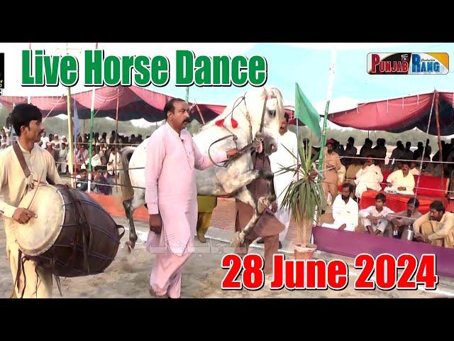 Horse Dance Live l  Punjab Pakistan l  Horse l Minchanabad l 28 June 2024 l Hoprse Dancer-part2