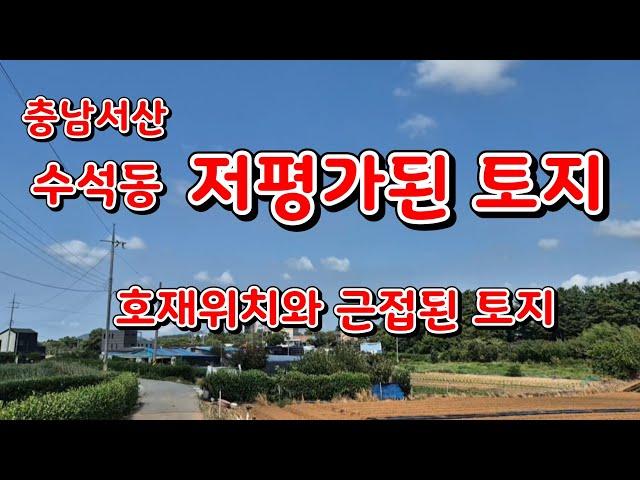 [물건21번]충남 서산 토지매매 저평가된 토지 서산토지매매 서산토지 투자토지 서산 황금알 부동산