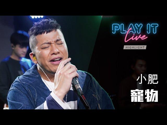 《 寵物 》 小肥 丨 Play It Live - Round 47