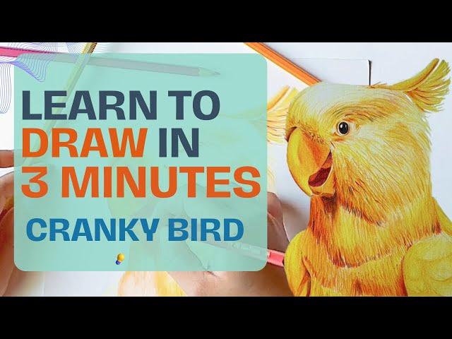 Easy Colored Pencil Bird Drawing | High School Art Project Idea