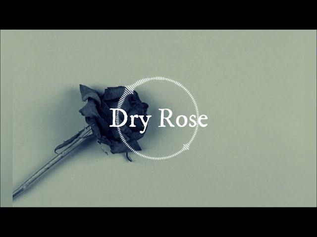 Upload my own song 'Dry Rose'