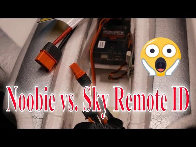 What a Noob finds out about the Sky Remote ID