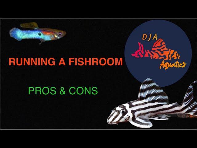 Pros & Cons of running a fishroom