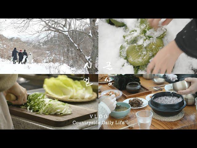 올 겨울 가장 추웠던 시골의 폭설 한파 일상 Winter routine | South Korea Countryside Life | Vlog