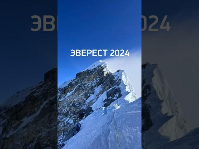 Эверест 2024