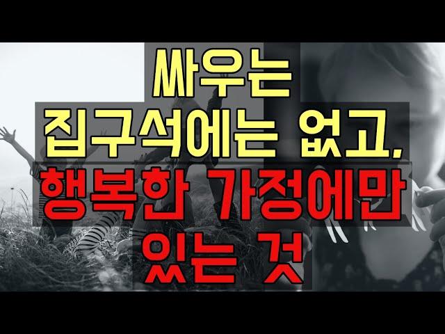 싸우는 집구석에는 없고, 화목한 가정에만 있는 것 - 원더풀 인생후반전