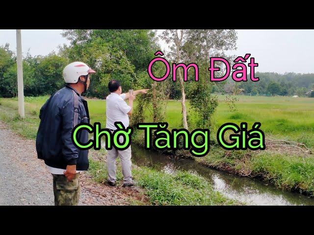 Ôm Đất Phân Lô Ở Củ Chi Lúc Này Nên Mừng!