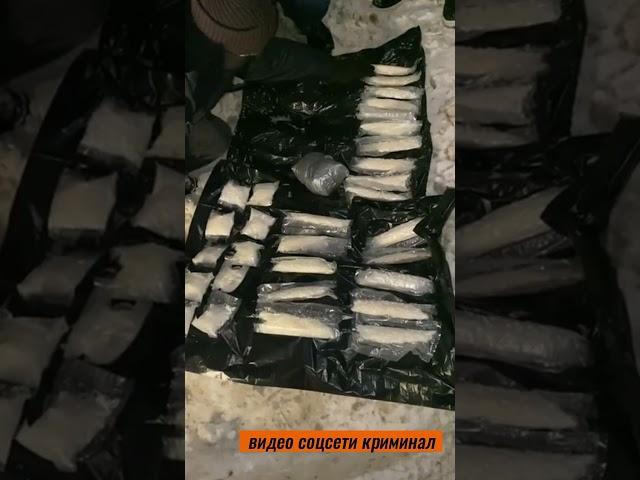 Крупный скандал в Следкоме Якутии, 60 кг наркотиков. Особый следователь сбежал? #shotrs