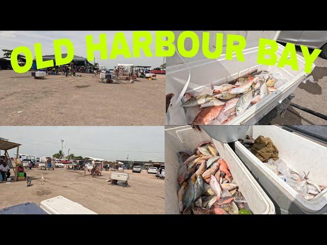 JAMAICA'S BIGGEST FISH MARKET EMPTY BECAUSE OF THIS!!!!#jamaica #fishing #seafood