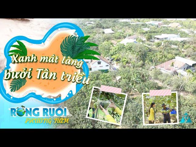 Xanh mát làng bưởi Tân Triều | Rong ruổi phương Nam | VTV9