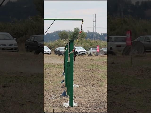 Рубка с коня  Казарла  1