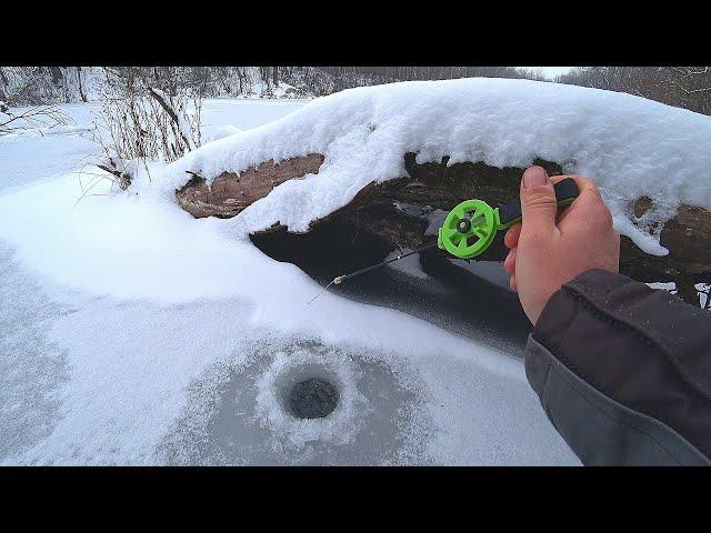 РАЗБУРИЛ КОРЯГИ, а там КЛЮЮТ ЧУДОВИЩА на БЕЗМОТЫЛКУ! Зимняя рыбалка! Первый лёд 2022 - 2023!